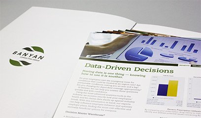 Banyan Consulting Group, Inc. Sales Kit | Red Letter Marketing