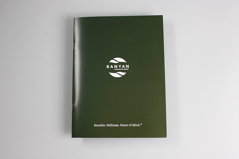 Banyan Consulting Group, Inc. Sales Kit | Red Letter Marketing