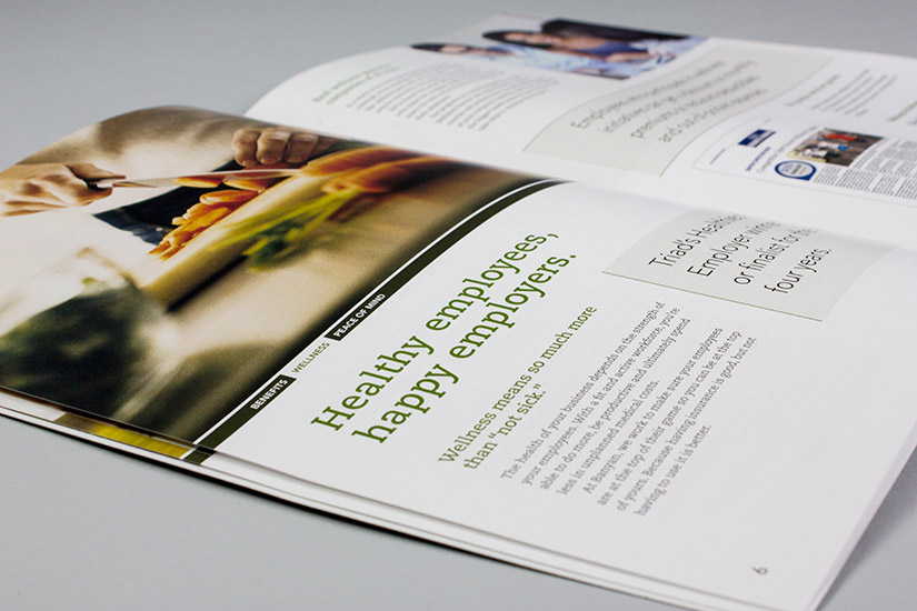 Banyan Consulting Group, Inc. Sales Kit | Red Letter Marketing