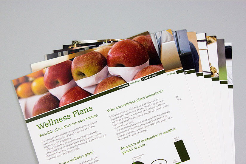 Banyan Consulting Group, Inc. Sales Kit | Red Letter Marketing