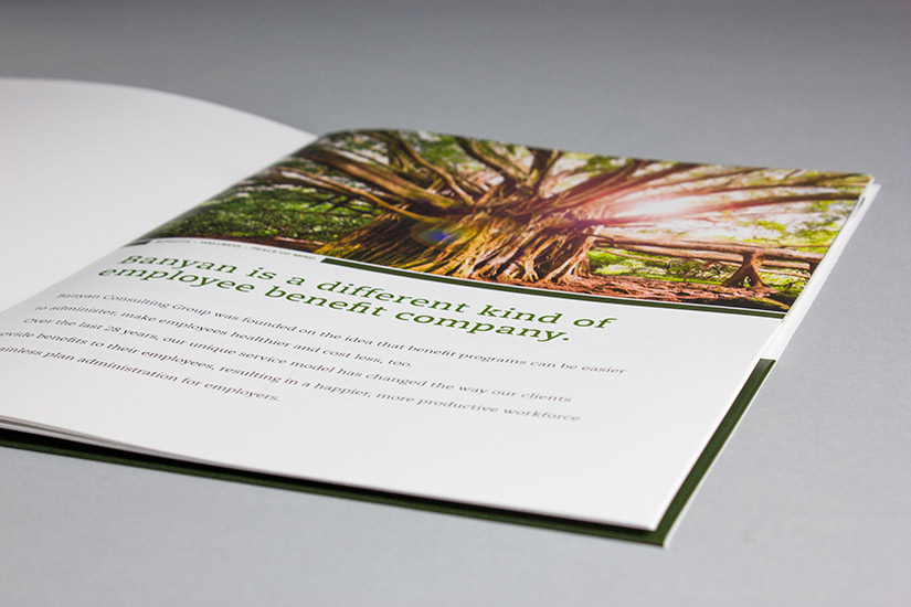 Banyan Consulting Group, Inc. Sales Kit | Red Letter Marketing